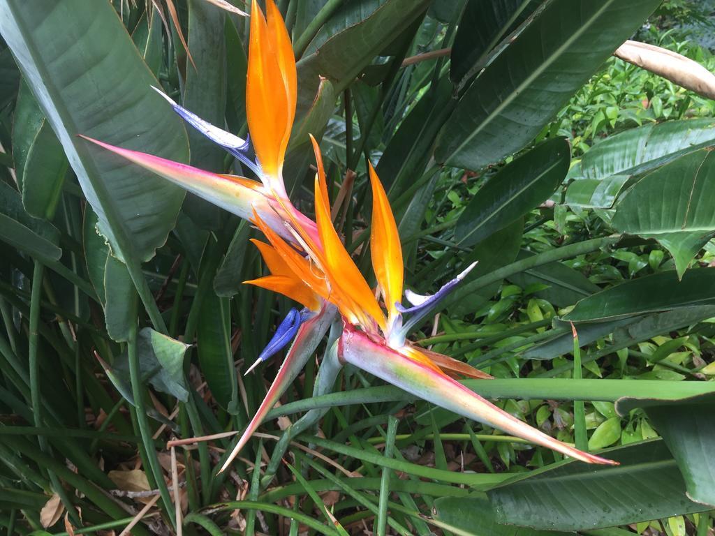 House Of House Guest House Stellenbosch Ngoại thất bức ảnh