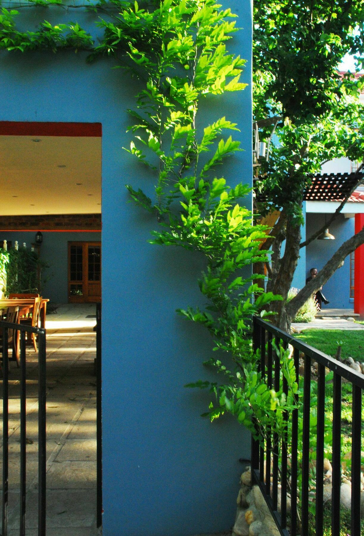 House Of House Guest House Stellenbosch Ngoại thất bức ảnh